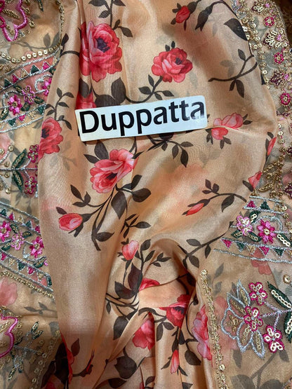 Aneela Embroidered Organza Collection | 4-Side Cutwork Silk Dupatta & Shamoz Silk 3pc