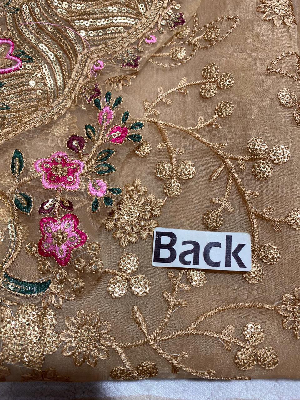 Aneela Embroidered Organza Collection | 4-Side Cutwork Silk Dupatta & Shamoz Silk 3pc